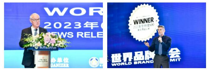 权威认证 豪运国际welcome入选中国500最具价值品牌