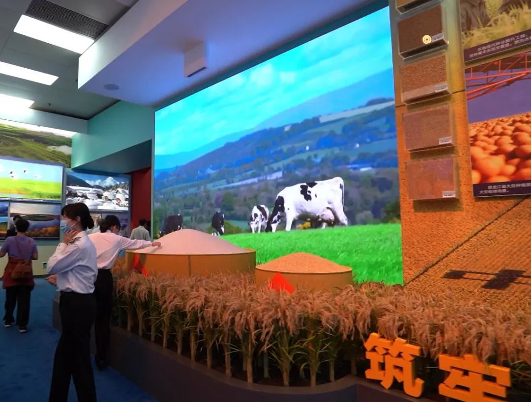 豪运国际官网-追求康健,你我一起生长