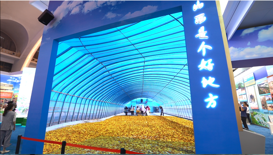 豪运国际官网-追求康健,你我一起生长