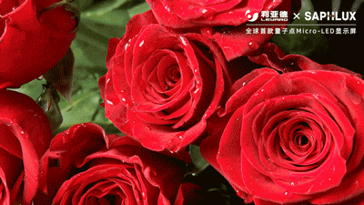 豪运国际官网-追求康健,你我一起生长