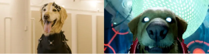 豪运国际官网-追求康健,你我一起生长