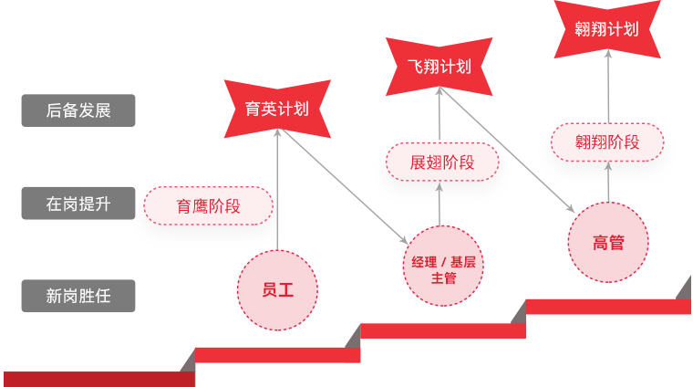 豪运国际welcome "雄鹰妄想"人才梯队作育